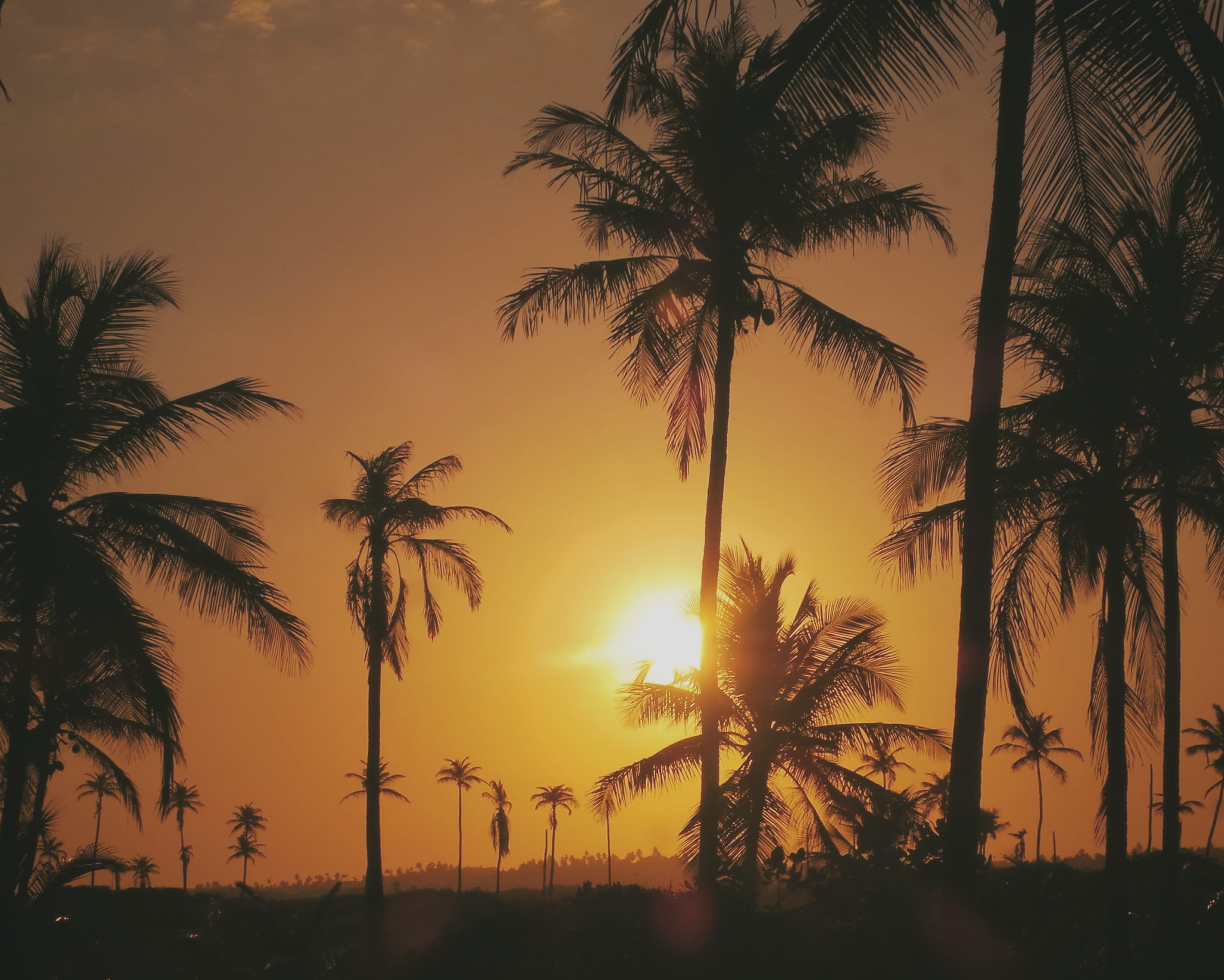 Uma Tarde de Sol na Bahia